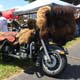 Leesburg Bike Fest 