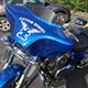 OEM Painting